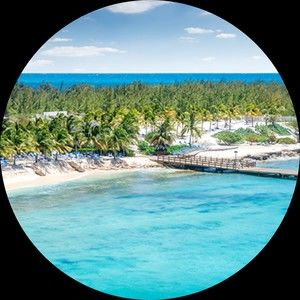 Meet your Posher, Dorothy